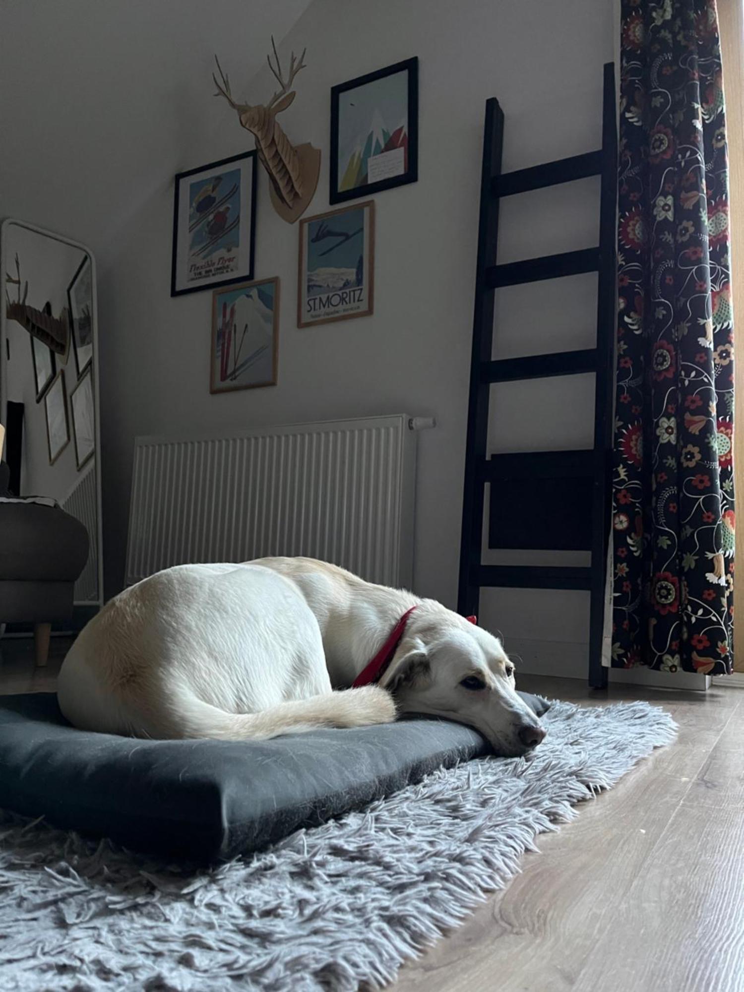 Apartament Folkowe Podgorze Szklarska Poręba Buitenkant foto